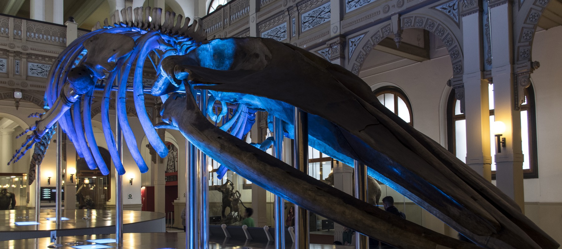Museo de historia natural quinta normal